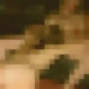 Photo de Wanda à Bédarieux (33 ans) - rencontre sexy sans inscription