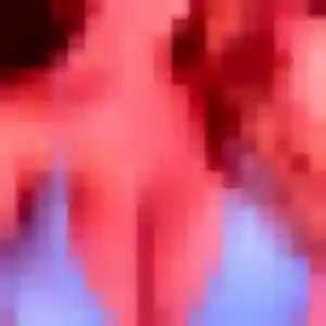 Jade, 27 ans, cherche un rencontre sexy à Bessières