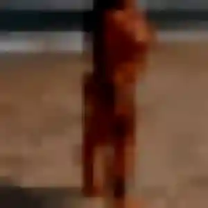 Katia, 44 ans, en ligne à Blaye pour une rencontre coquine