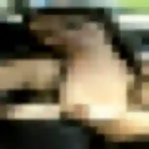 Debora (32 ans) à Boé propose une rencontre ce soir