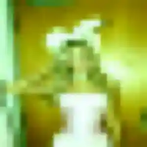 Photo perso de Zelda, 35 ans à Boé - rencontre sans lendemain