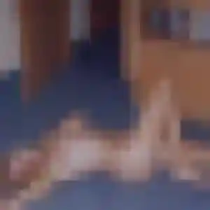 Clara de Castelsarrasin, 23 ans - rencontre sexy sans lendemain