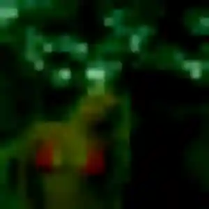 Contacte Morgane, 31 ans à Cazères gratuitement