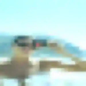 Natasha, 31 ans, dispo pour rencontre sexy à Cestas