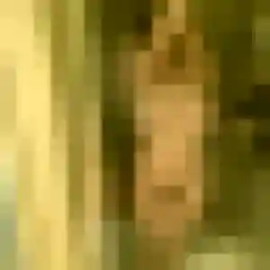 rencontre sexy à Chauvigny : photo de Uranie, 43 ans - accès libre