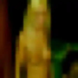 rencontre sexy à Cruseilles : photo de Ambre, 25 ans - accès libre