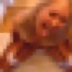 Photo privée de Stephanie, 37 ans à Fleurance - plan discret