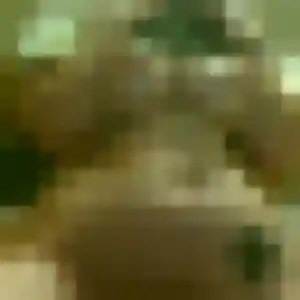 Nicole, 21 ans, cherche un rencontre sexy à Groisy