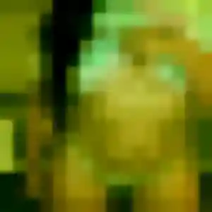 Louise, femme de 29 ans propose rencontre sexy à La Tremblade