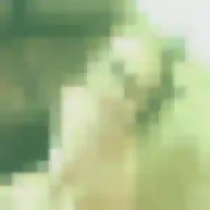 Photo sexy de Sylvie, 39 ans à Lisle-sur-Tarn - rencontre sans lendemain