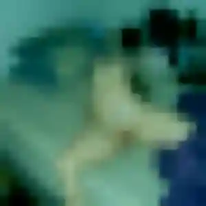 Jolie Ingrid, 38 ans à Neuvic - la contacter