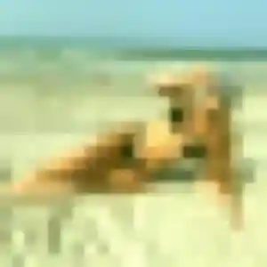 Melodie de Nieul-sur-Mer, 23 ans - rencontre sexy sans prise de tête