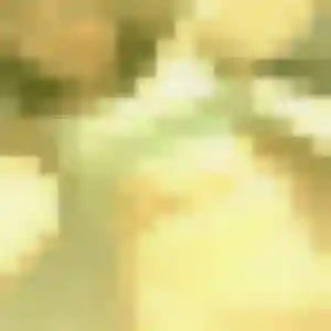 Solange, femme de 40 ans cherche rencontre sexy à Peyrehorade