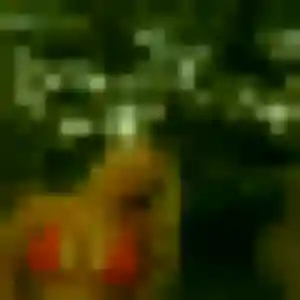 rencontre sexy à Pouillon : photo de Thais, 43 ans - inscription gratuite