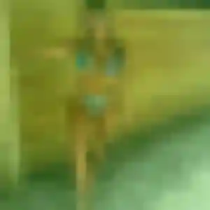 Severine, 19 ans, cherche un rencontre sexy à Poussan