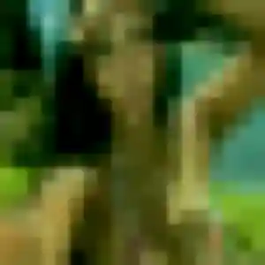 Colombe (23 ans) à Puygouzon attend un rencontre sexy rapidement