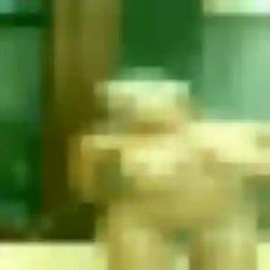 Aurelie (31 ans) à Saint-Affrique attend un rencontre sexy maintenant