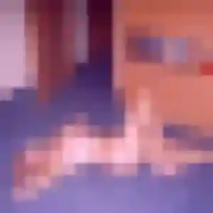 Sexy Rachel, 23 ans à Saintes - voir sa photo