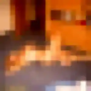 Eliane, 33 ans, cherche un rencontre sexy à Ustaritz
