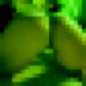 Photo sexy de Berenice, 39 ans à Villefranche-de-Rouergue - rencontre sans lendemain